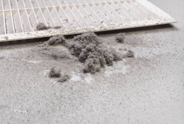 Best Local Air Duct Cleaning Services  in Elmer, NJ