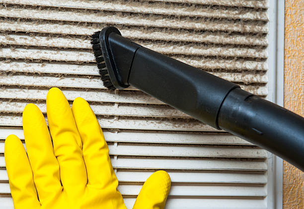 Best Commercial Air Duct Cleaning  in Elmer, NJ